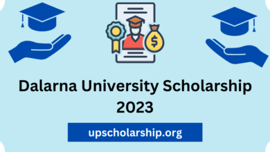 Dalarna University Scholarship 2023