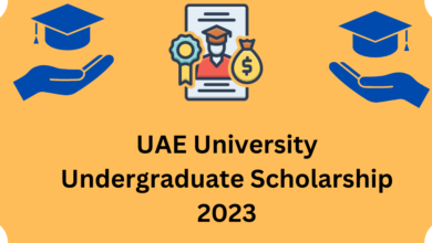 UAE University Undergraduate Scholarship 2023
