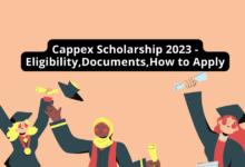 Cappex Scholarship