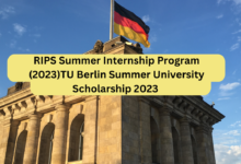TU Berlin Summer University Scholarship 2023