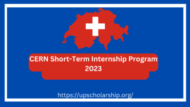 CERN Short-Term Internship Program 2023