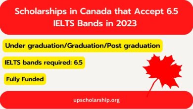 Scholarships in Canada that Accept 6.5 IELTS Bands in 2023