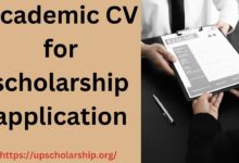 Academic CV for scholarship application 2023