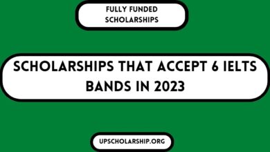 Scholarships that Accept 6 IELTS Bands in 2023