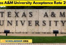 Texas A&M University Acceptance Rate 2023
