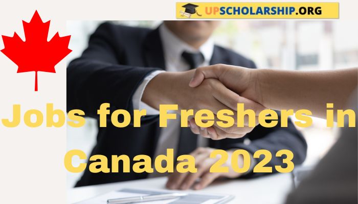 Jobs for Freshers in Canada 2023