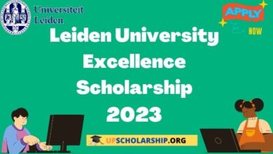 Leiden University Excellence Scholarship 2023