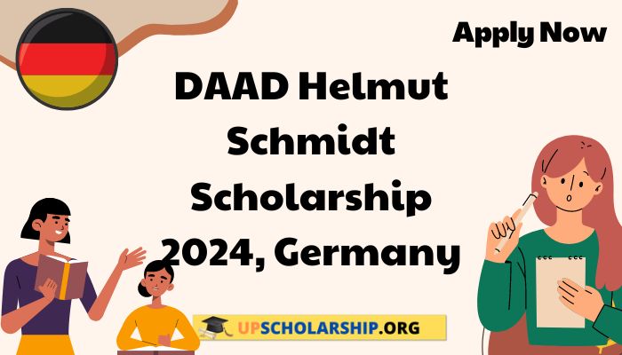 DAAD Helmut Schmidt Scholarship 2024
