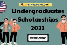 Undergraduates Scholarships 2023