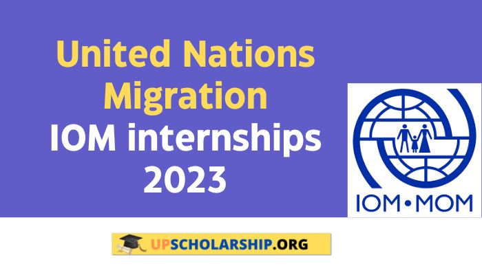 IOM internships 2023