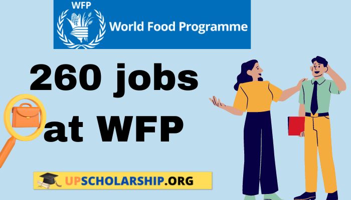 260 jobs At WFP