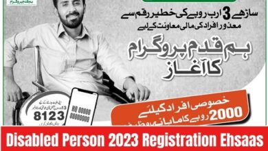 Disabled Person 2023 Registration For Ehsaas Program