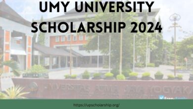 UMY University Scholarship 2024