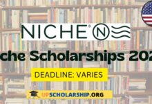 Niche Scholarships 2023