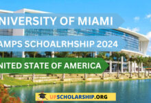 University of Miami Stamps Scholarship 2024 In USA