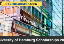 University of Hamburg Scholarships 2024