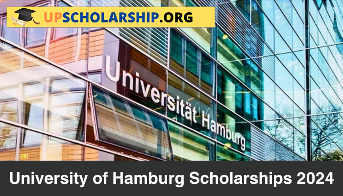 University of Hamburg Scholarships 2024